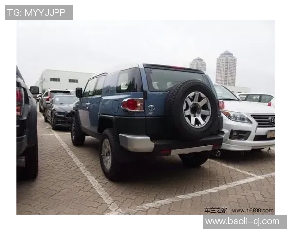 南京排球队在洲际杯积分榜上以58分稳居第一名展现强劲实力