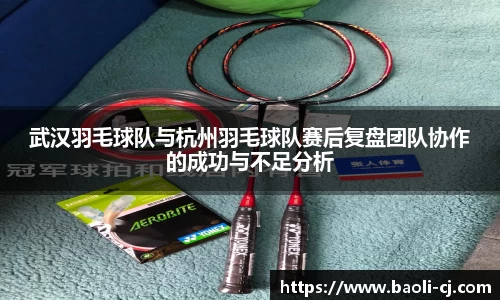 武汉羽毛球队与杭州羽毛球队赛后复盘团队协作的成功与不足分析